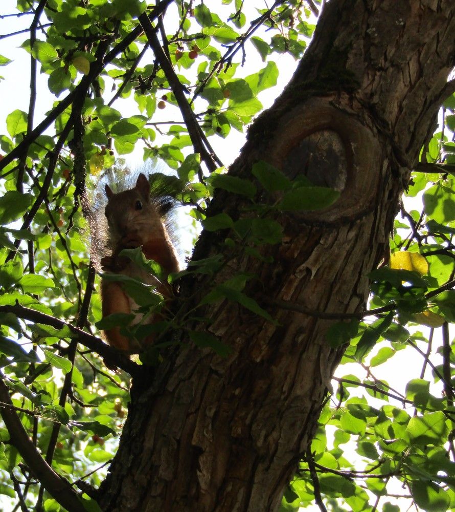 Photograph by Николай Худяков