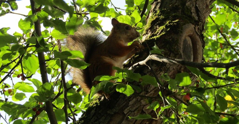 Photograph by Николай Худяков