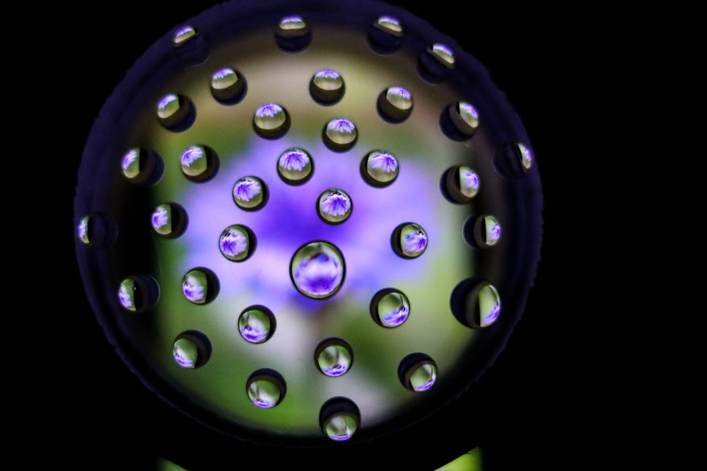 Фотография автора Ирина Рябчикова