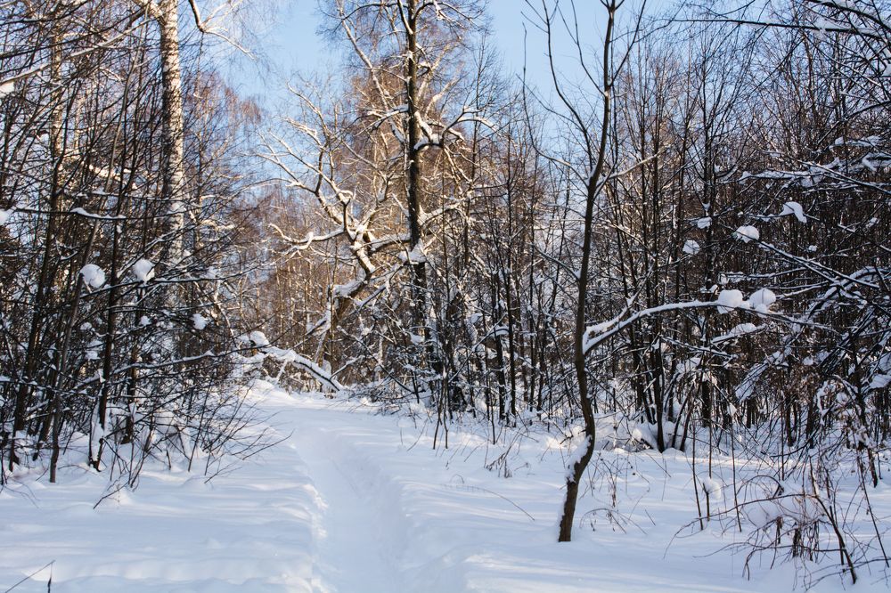 Photograph by Вячеслав Куксенков