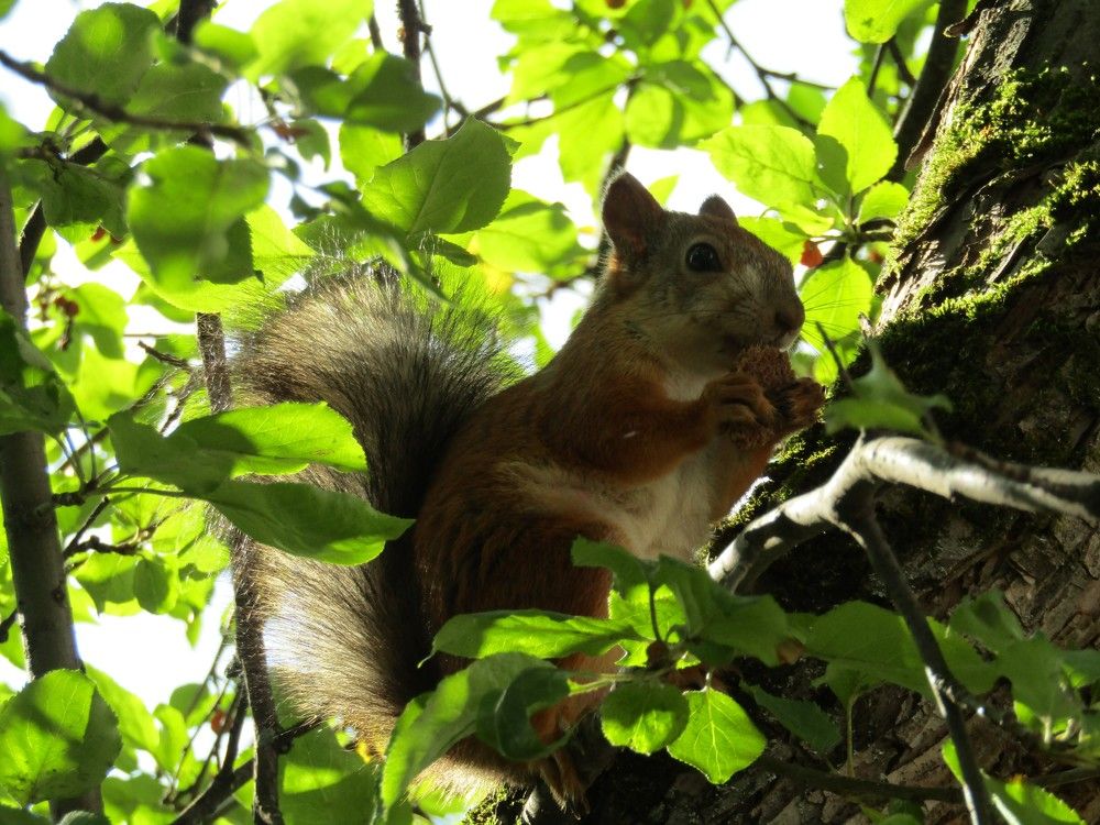 Photograph by Николай Худяков