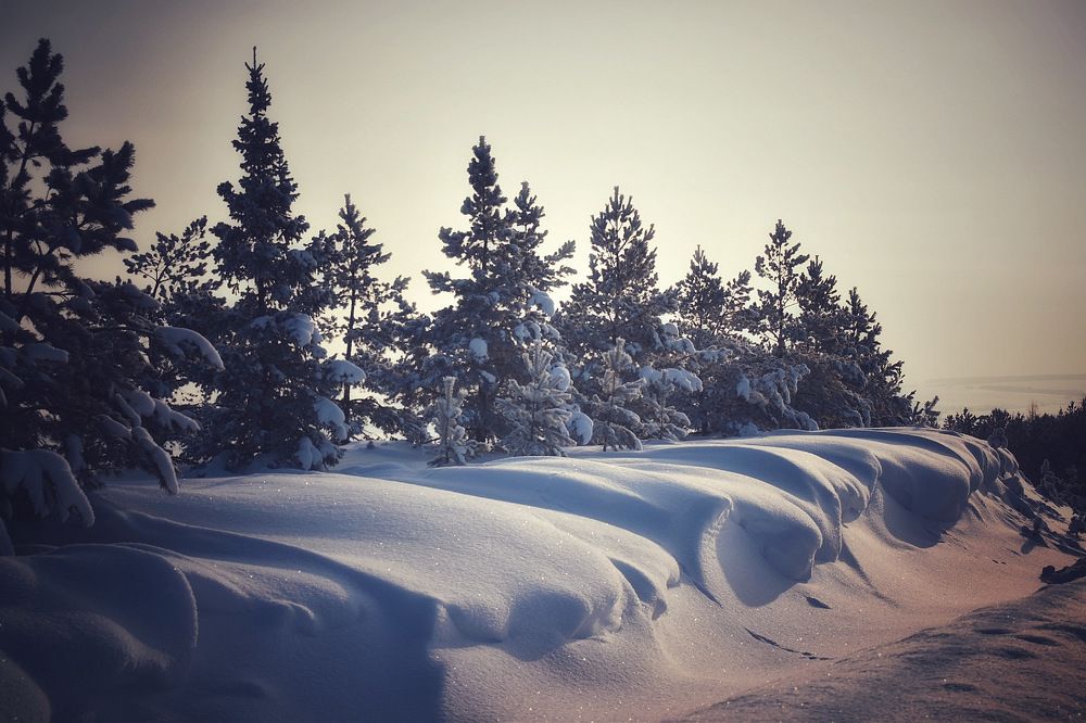 Photograph by Kira Bahvalova