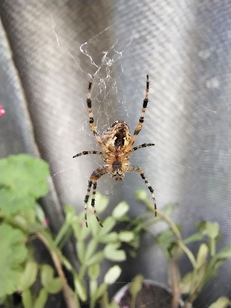 Photograph by Александра Лукашевич