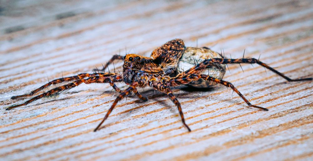 Photograph by Антон Парфентьев