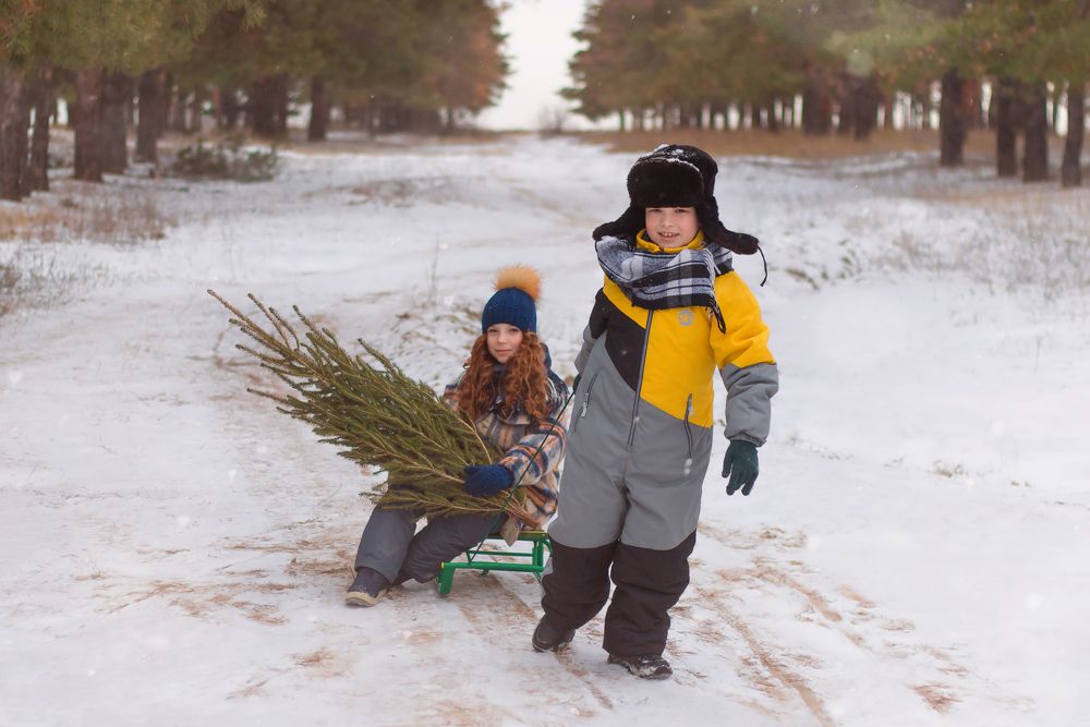 Photograph by Надежда Виденина