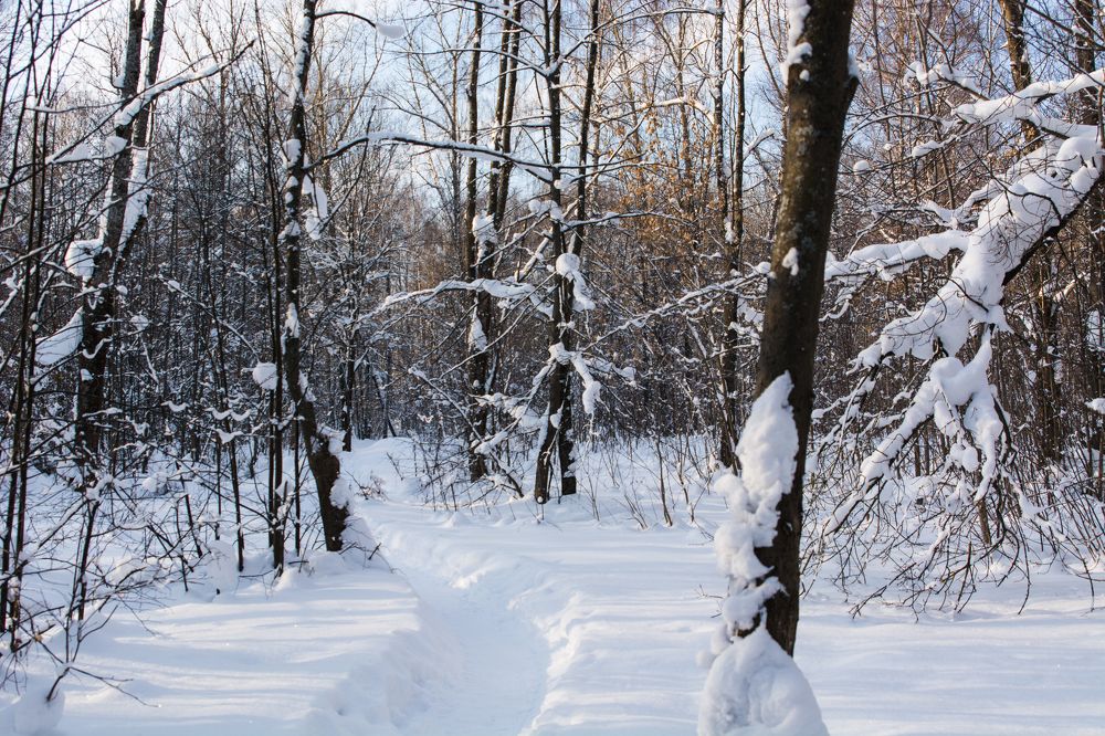 Photograph by Вячеслав Куксенков