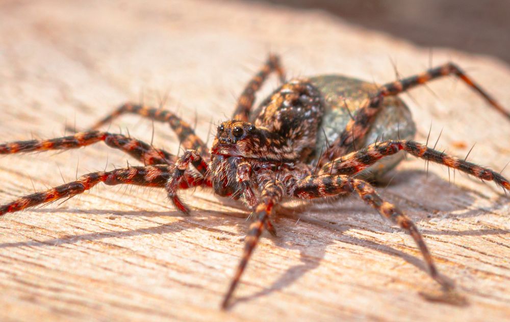 Photograph by Антон Парфентьев