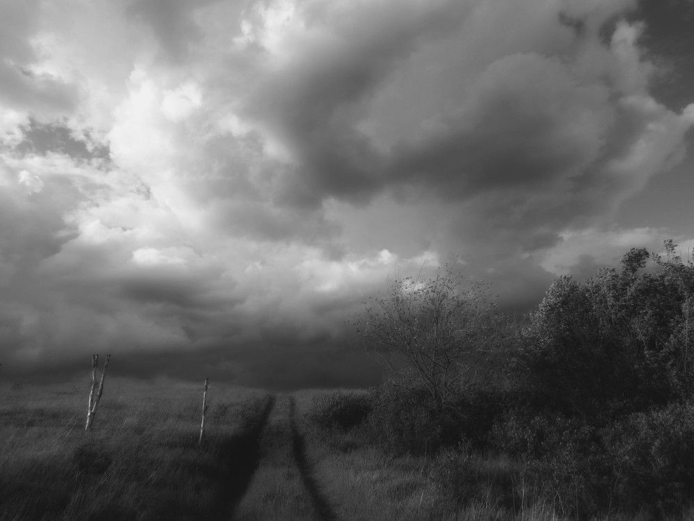 Photograph by Елена Кузнецова