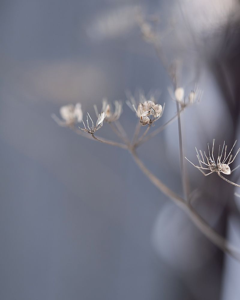 Photograph by Александра Чистякова