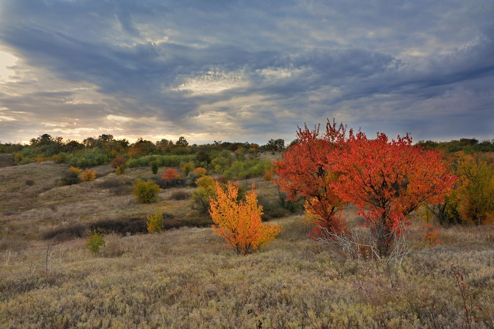 Photograph by Serhii