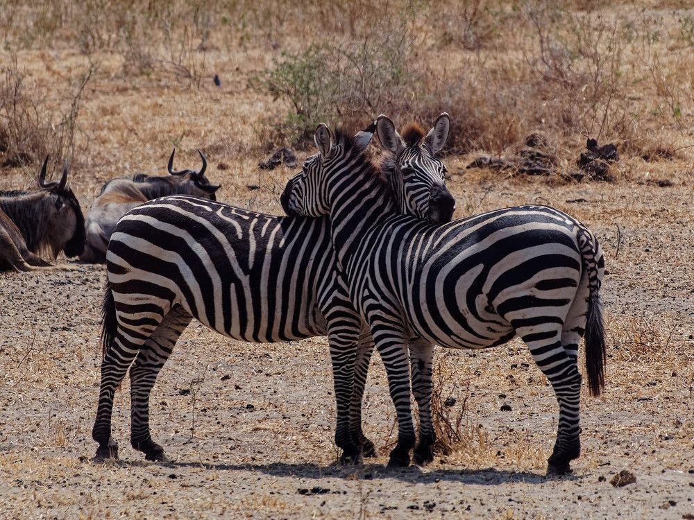 Photograph by Андрей Панин