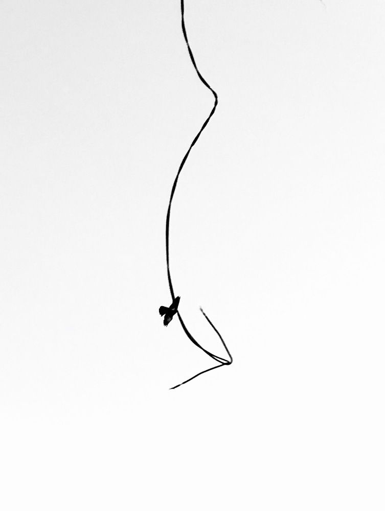 Photograph by Елена Ким