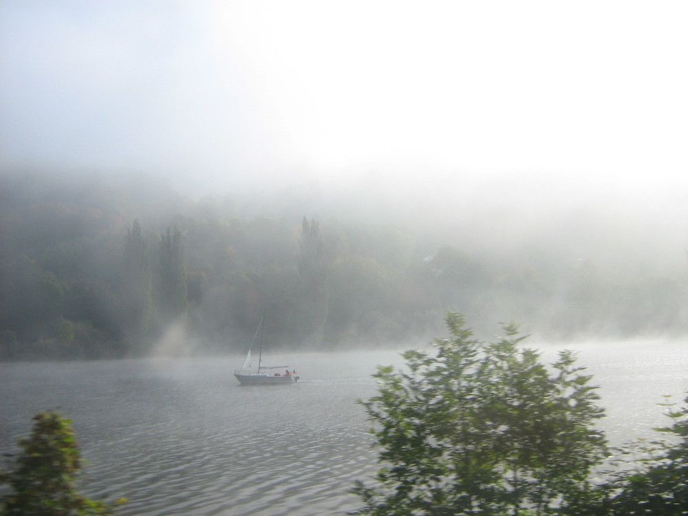 Photo #7101625