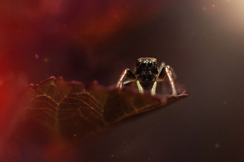 Photograph by Мария Бузыцкая