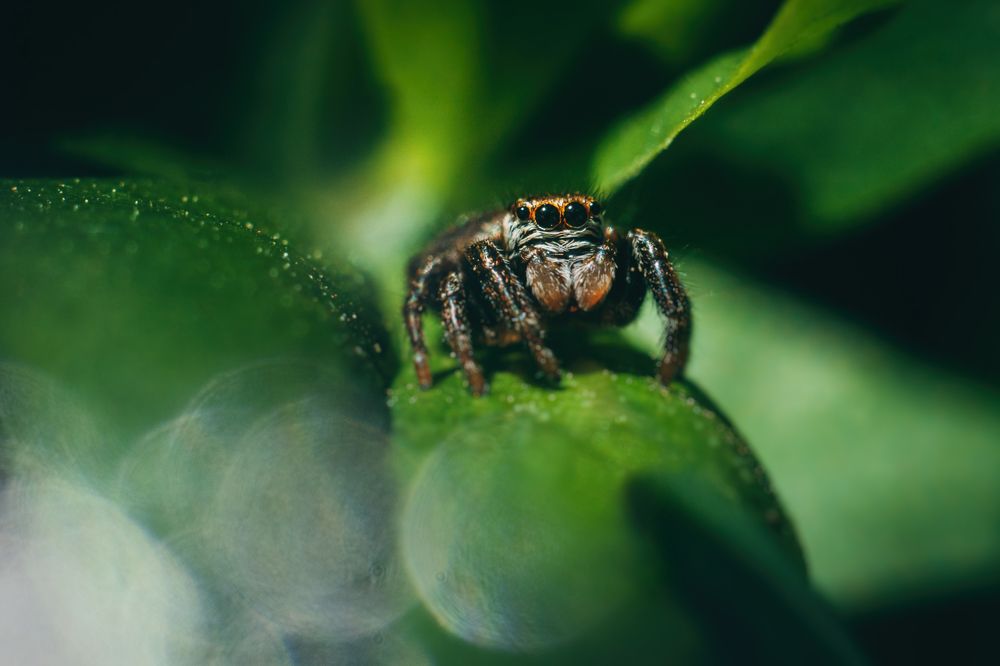 Photograph by Мария Бузыцкая