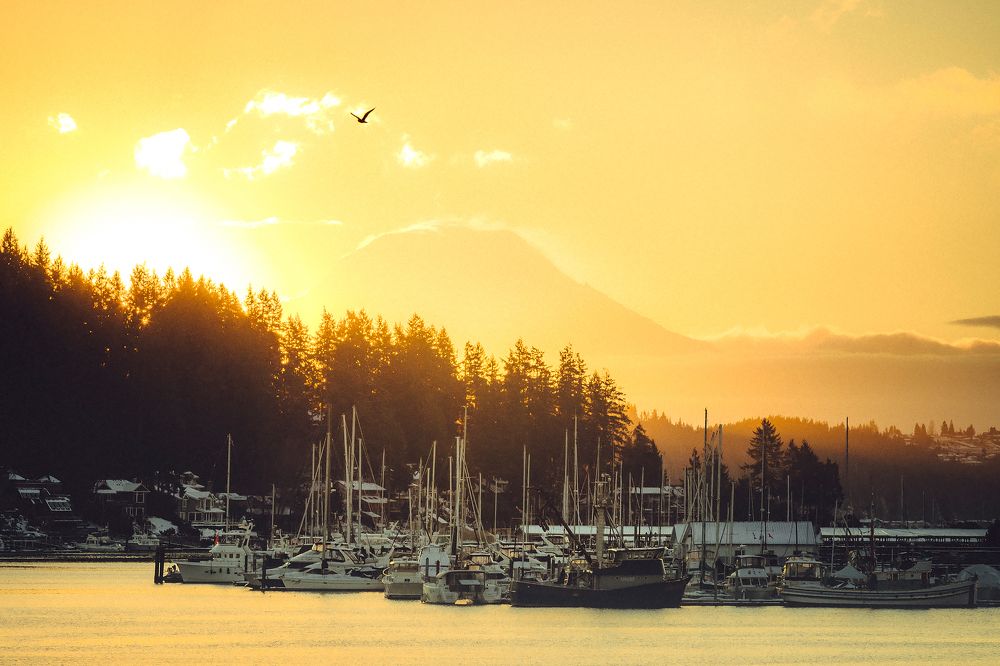 Photograph by Евгений Васенев