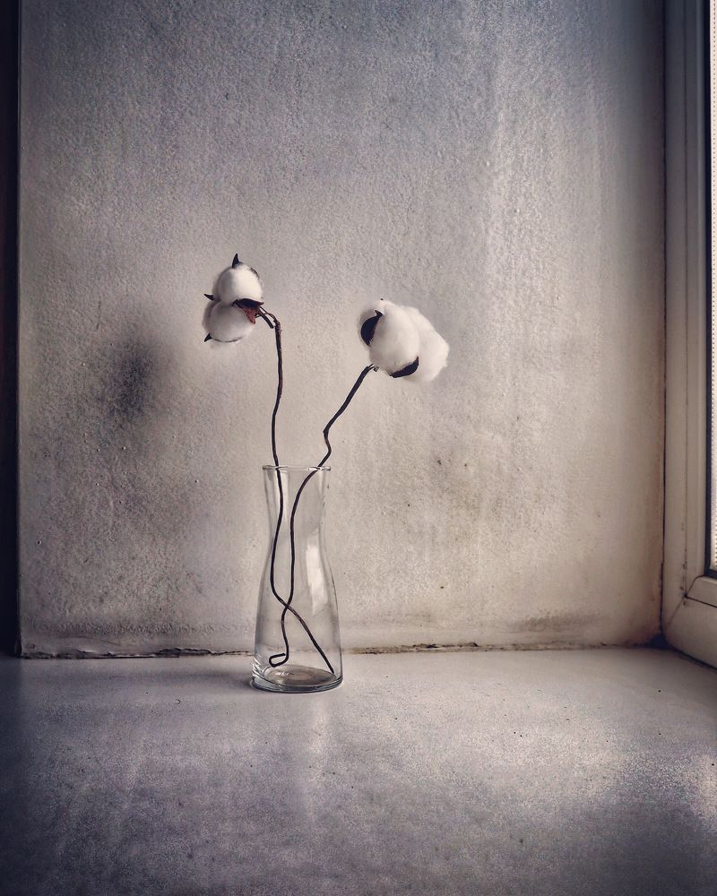 Photograph by Kira Bahvalova