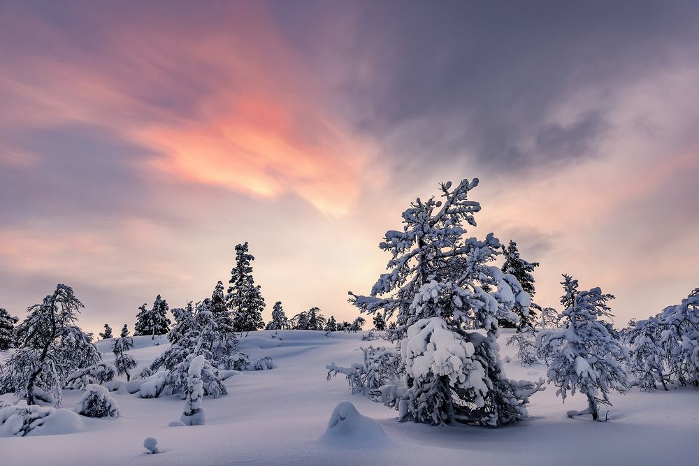 Photograph by Крицак Ольга