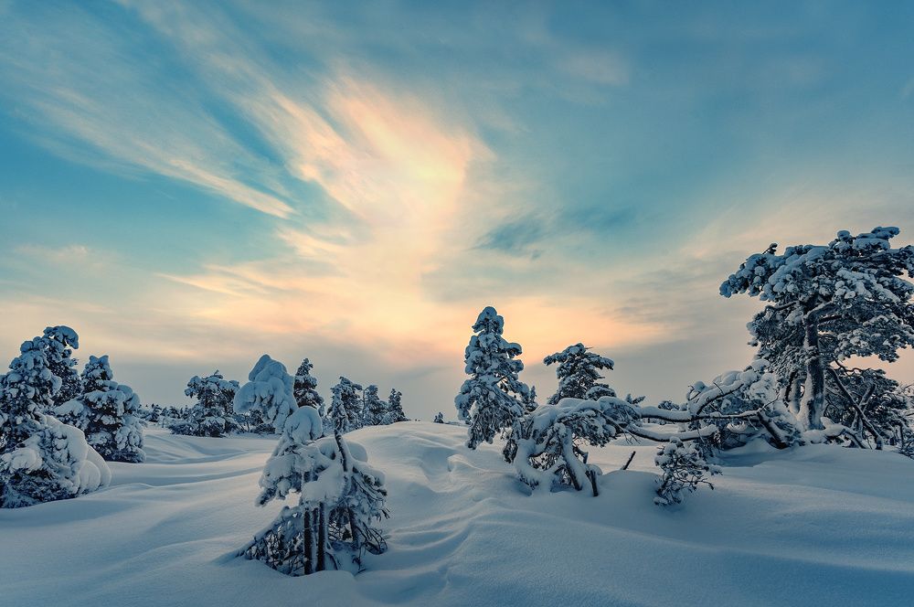 Photograph by Крицак Ольга