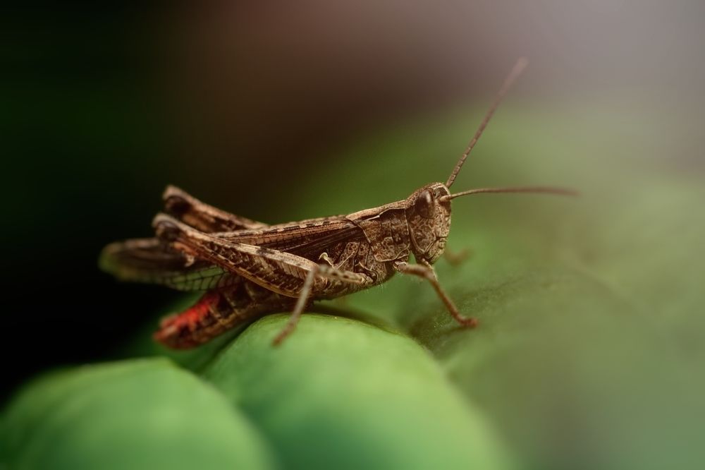 Photograph by Мария Бузыцкая