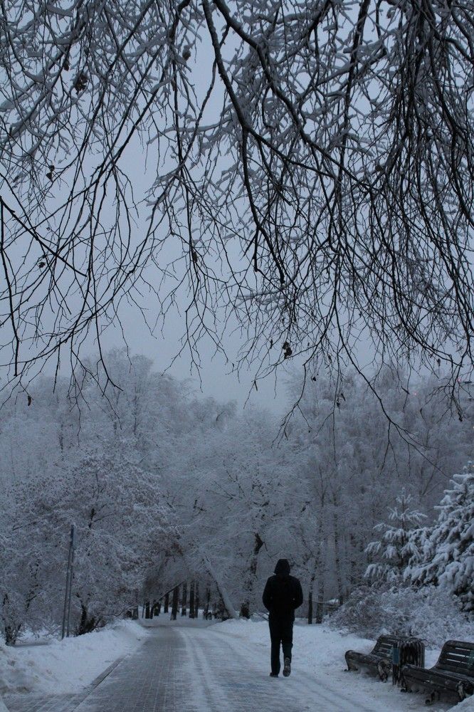 Photograph by Светлана Веселовская