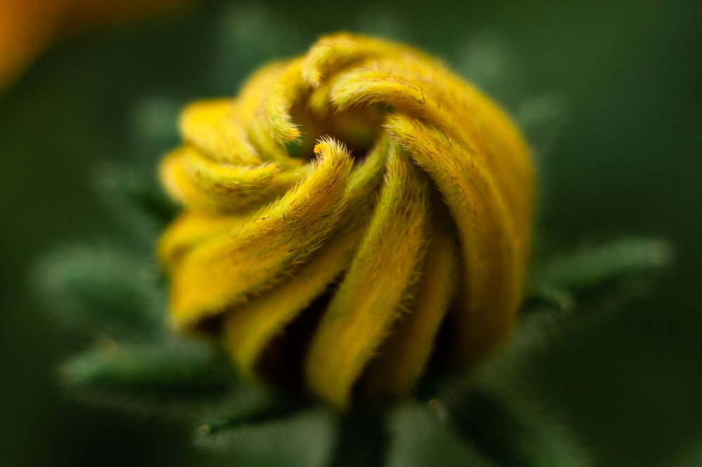 Photograph by Мария Бузыцкая