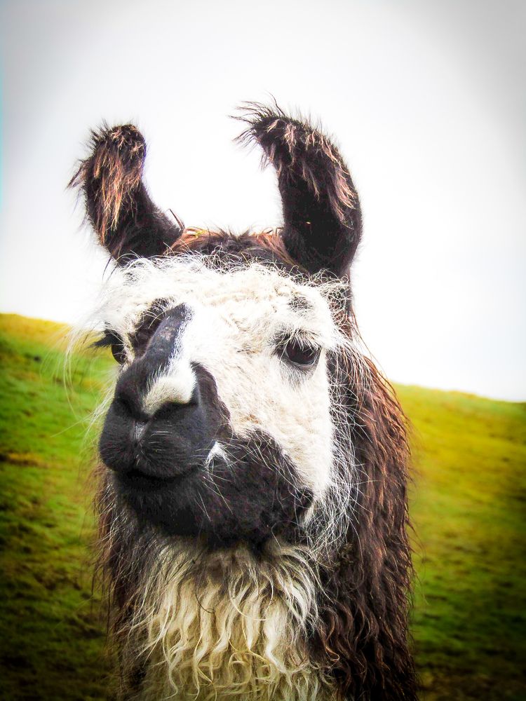 Photograph by Lynne Hunter