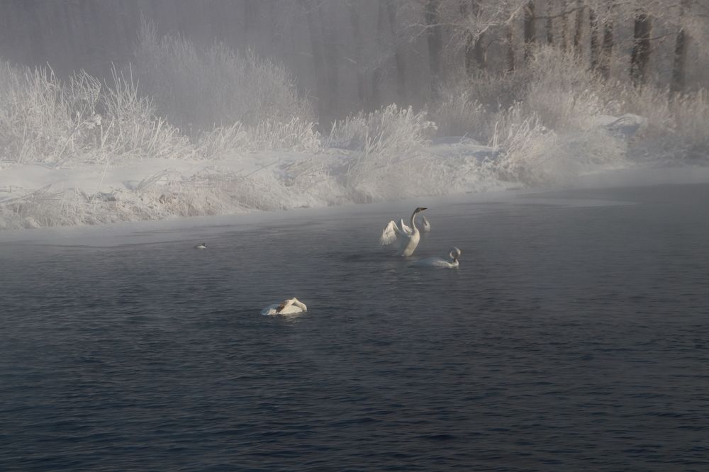 Photograph by Наталья Трифуз