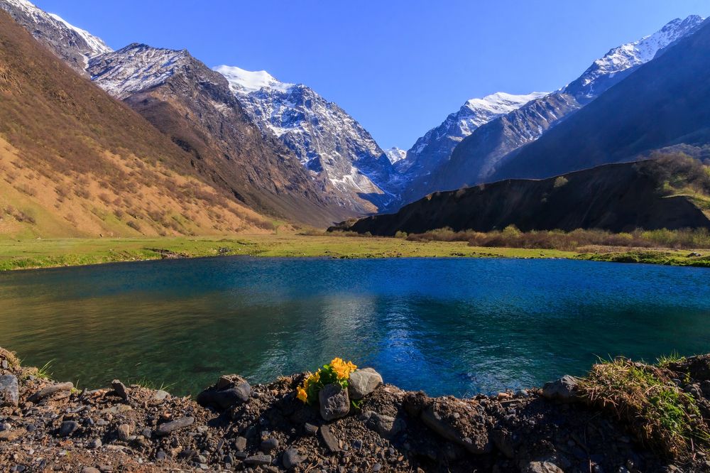 В Мидагробинской долине.