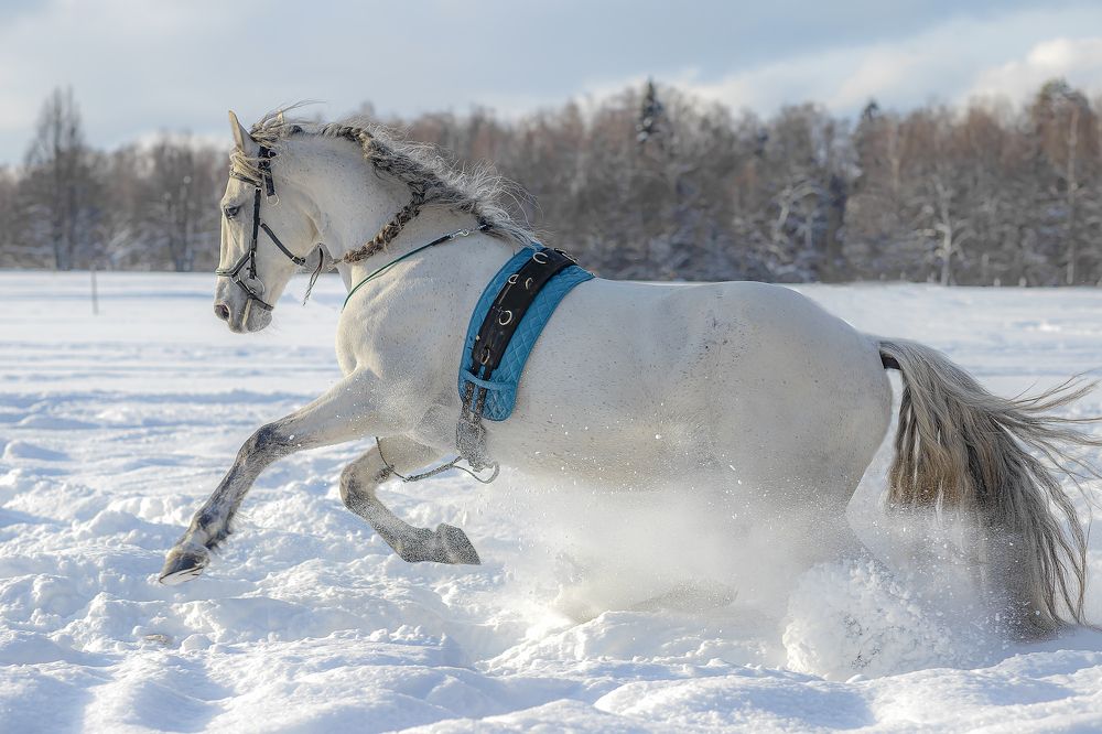 Photograph by александр лялин