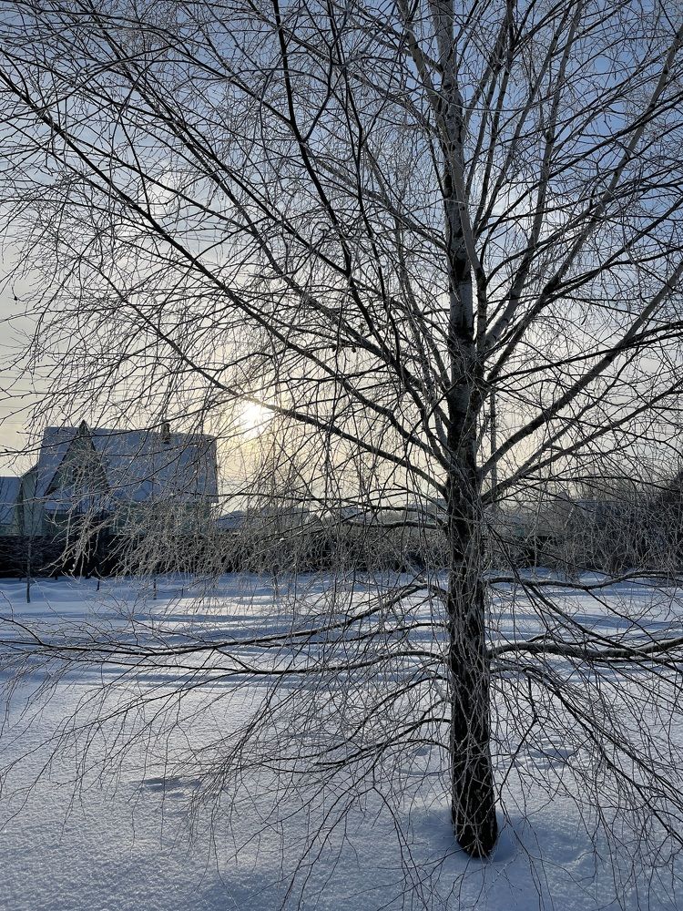 Photograph by ирина