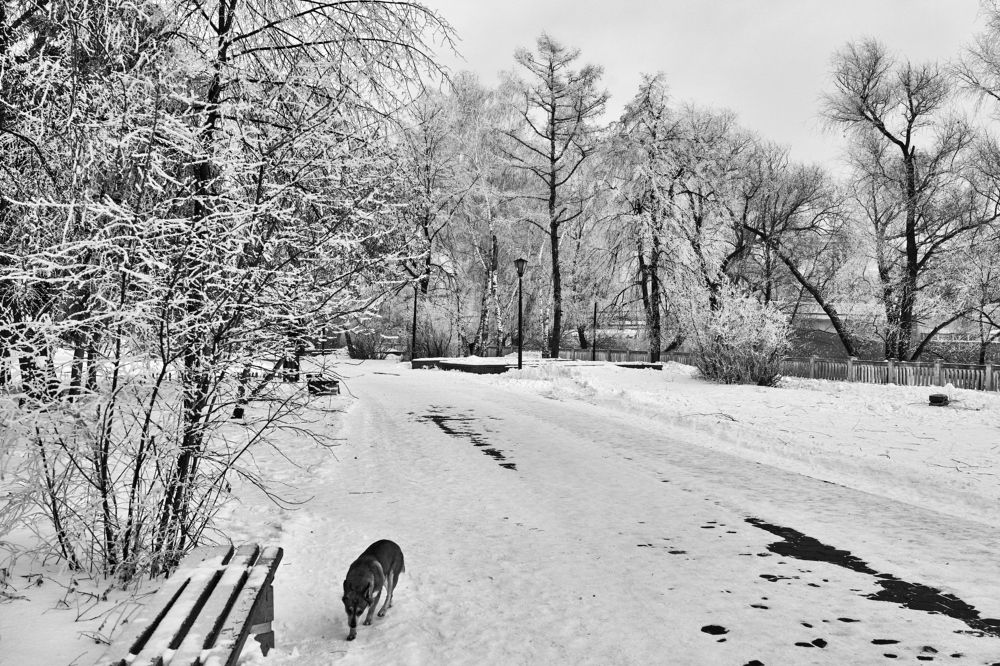 Photograph by Сергей Стукен