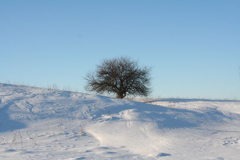 Photograph by Надежда
