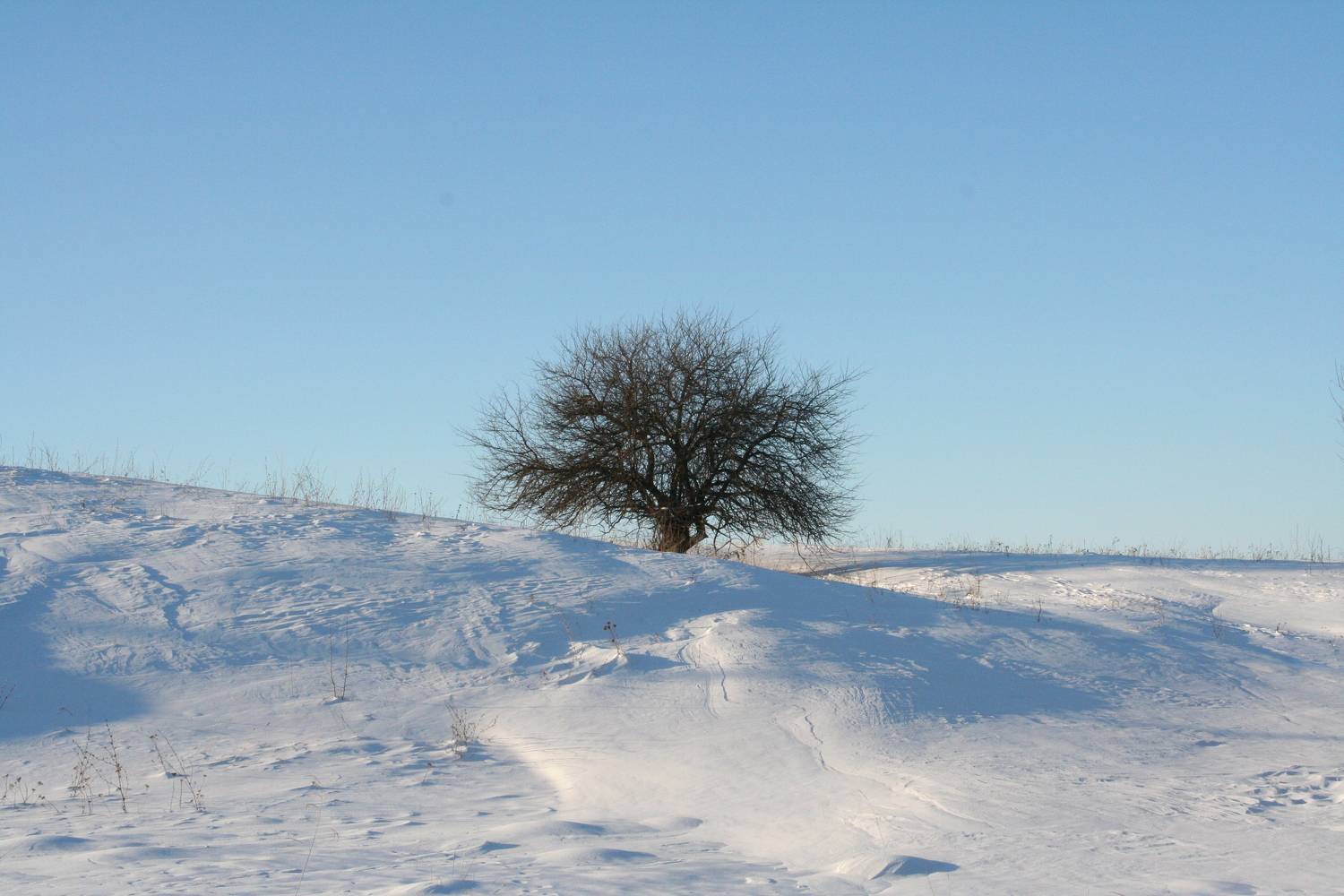 Photo #7102003