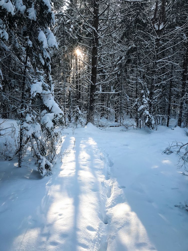 Photograph by Mary Ryzhenkova