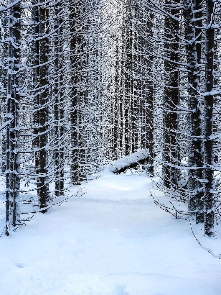 Photograph by Mary Ryzhenkova