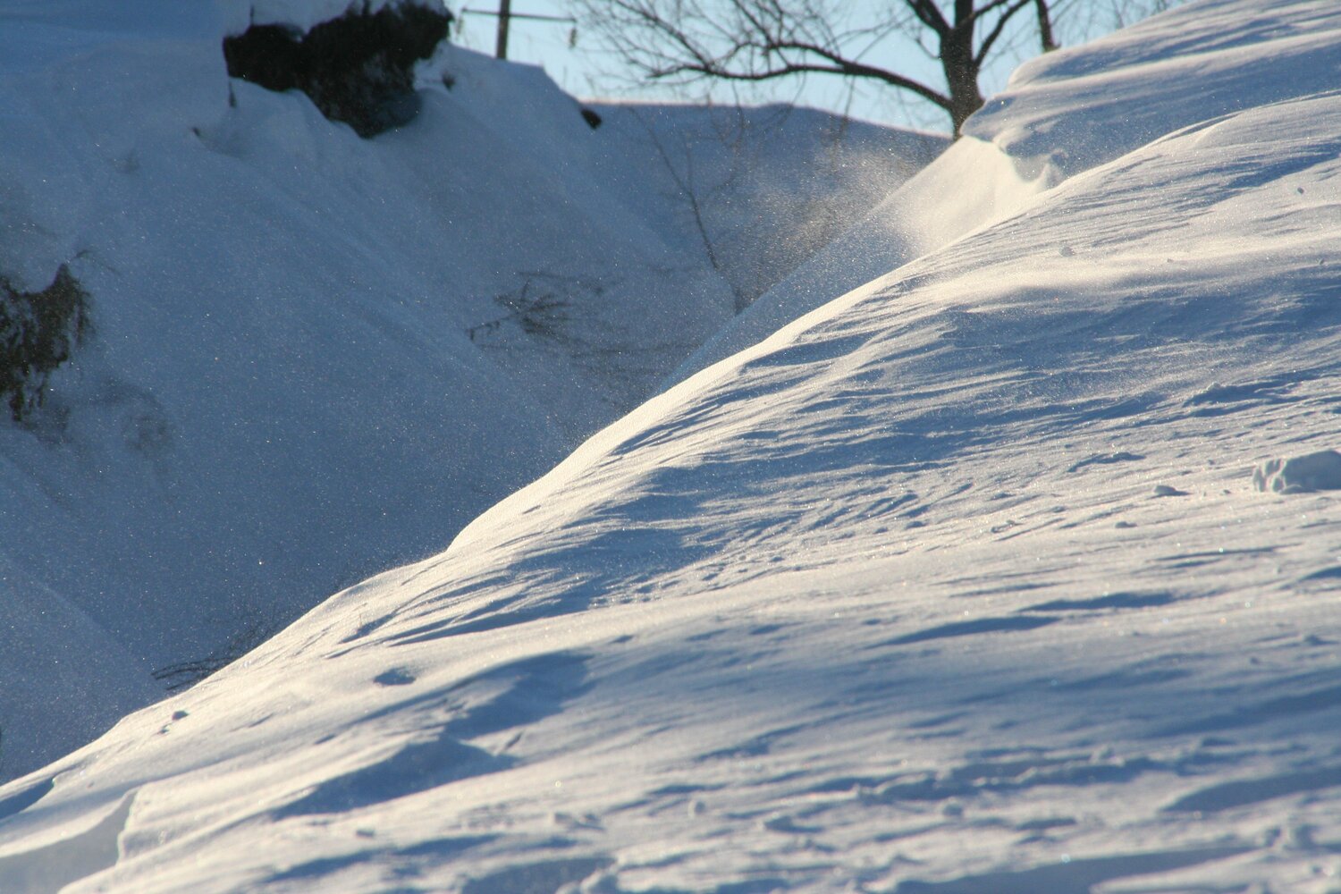 Photo #7102014