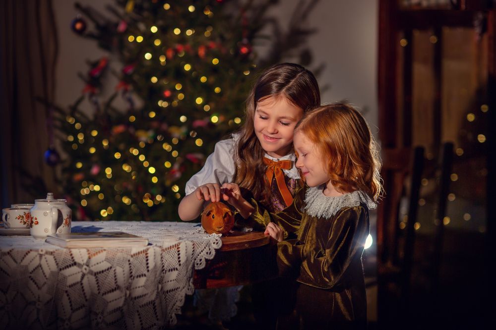 Photograph by Мила Силина