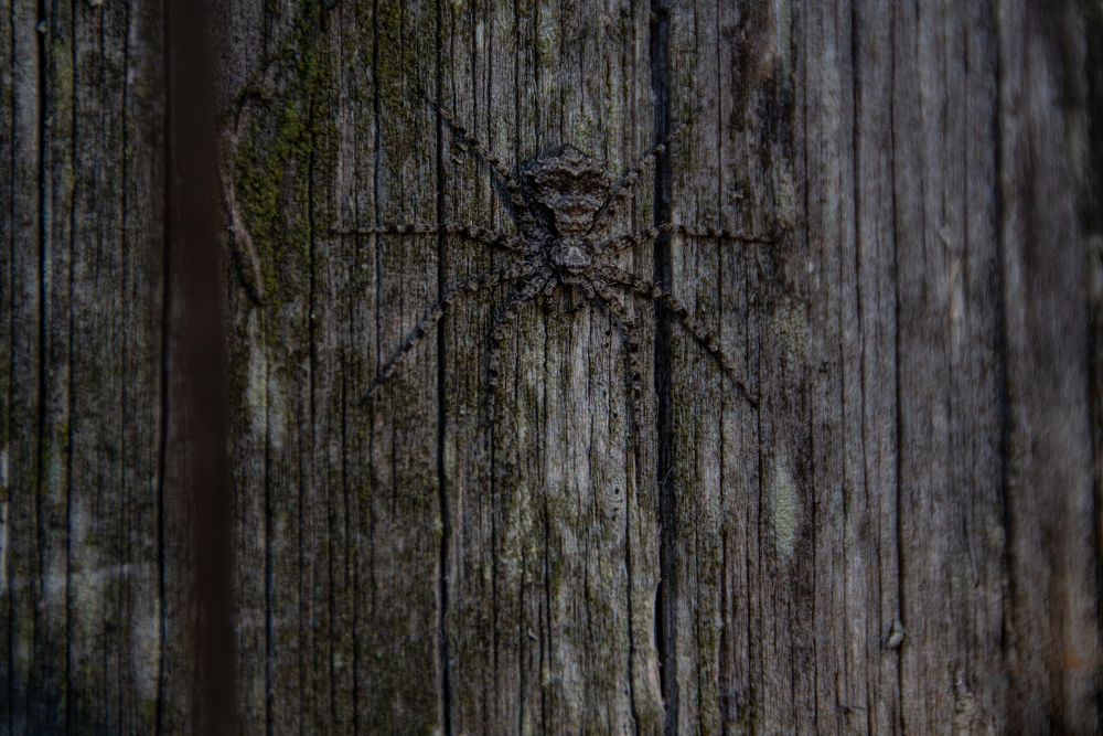 Photograph by Фёдор Викторов