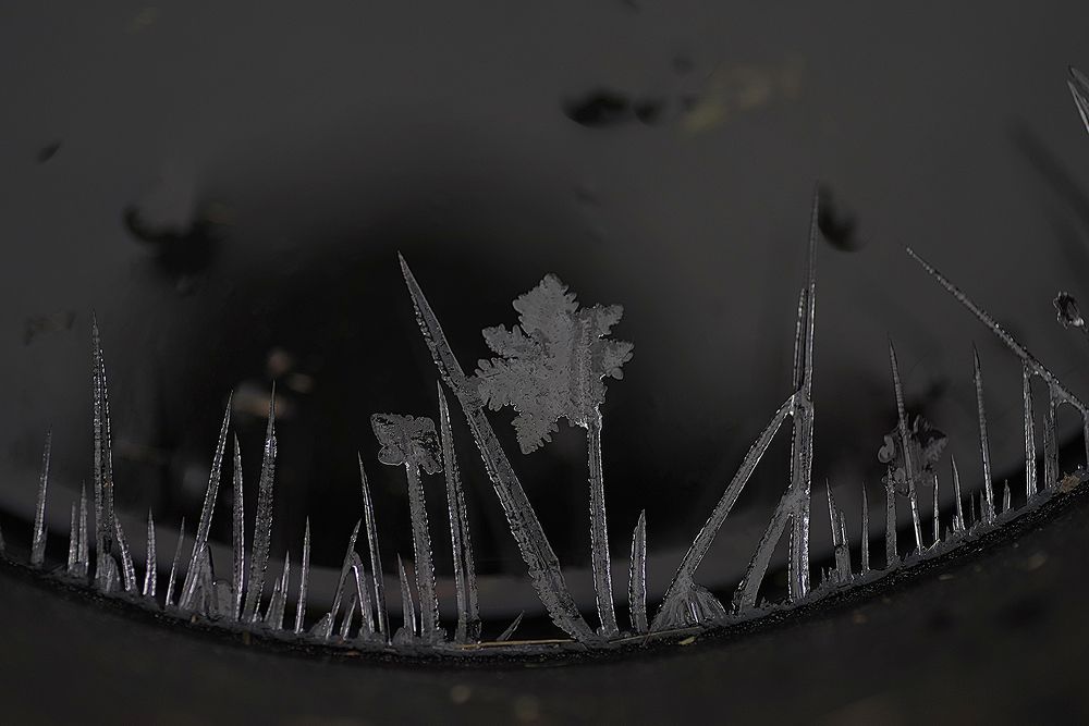 Фотография автора Виктор Конев