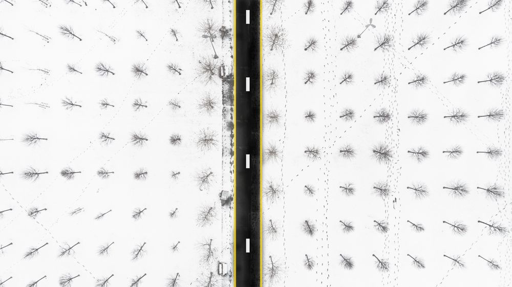 Photograph by Aissa Haffar