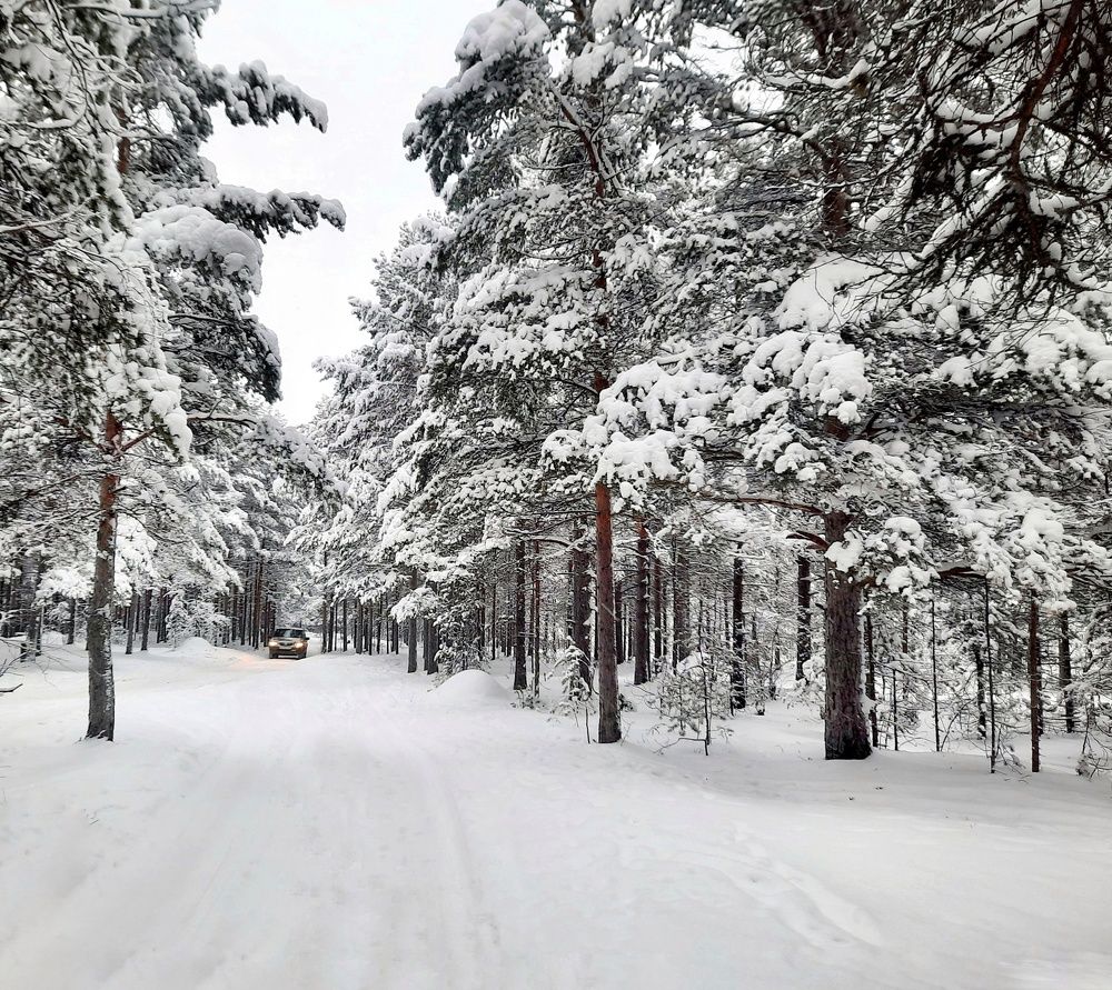 Photograph by Ольга Шаньгина