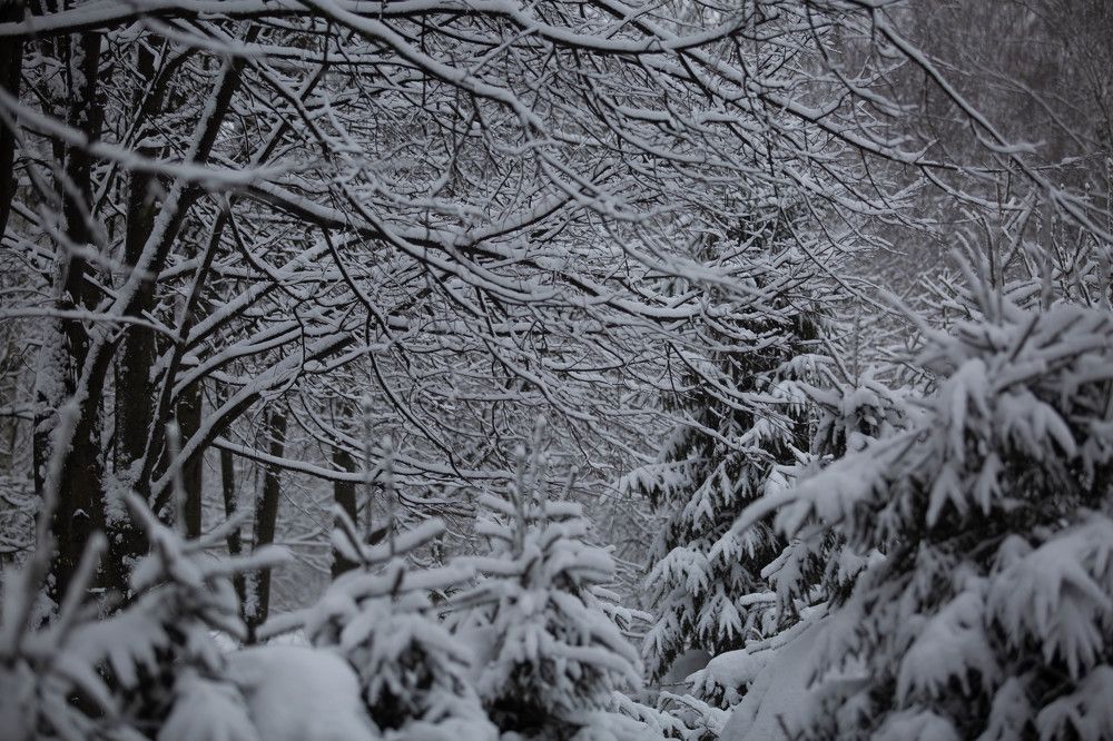 Photograph by Ольга Гаврилова