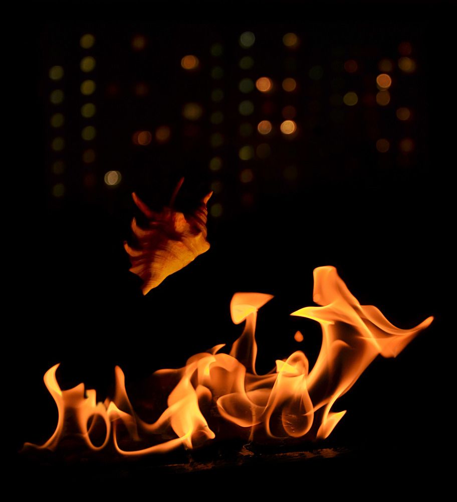 Photograph by Константин Мишнаевский