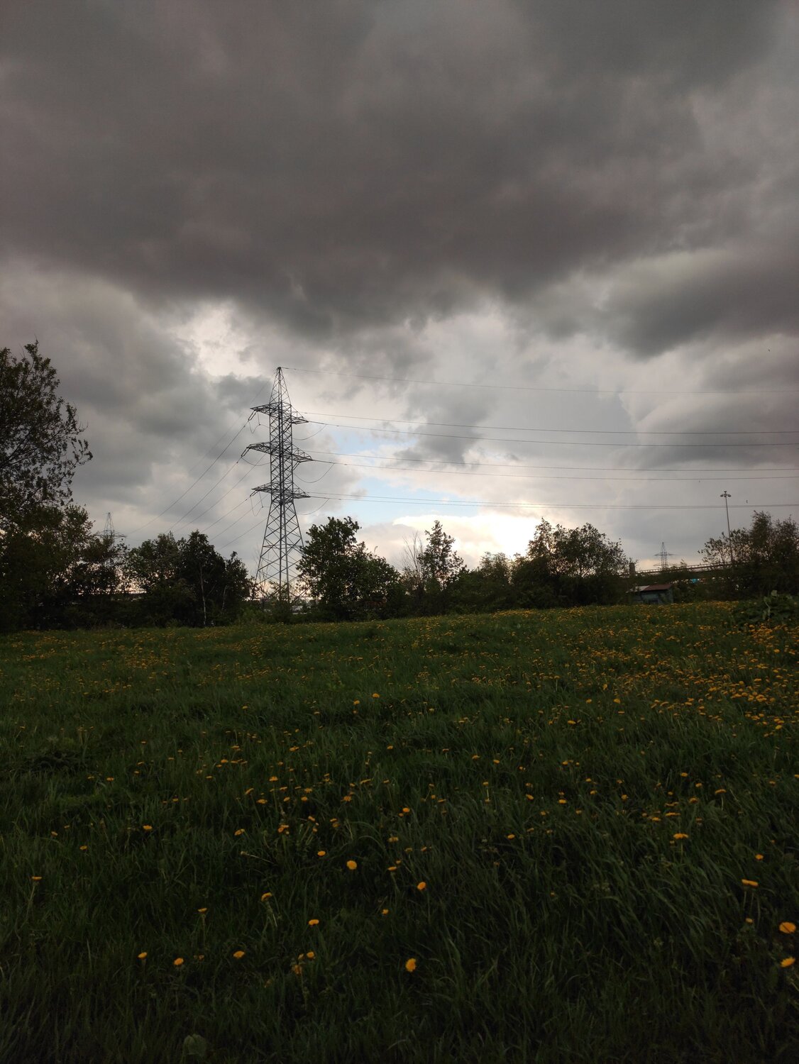 Photo #7102296