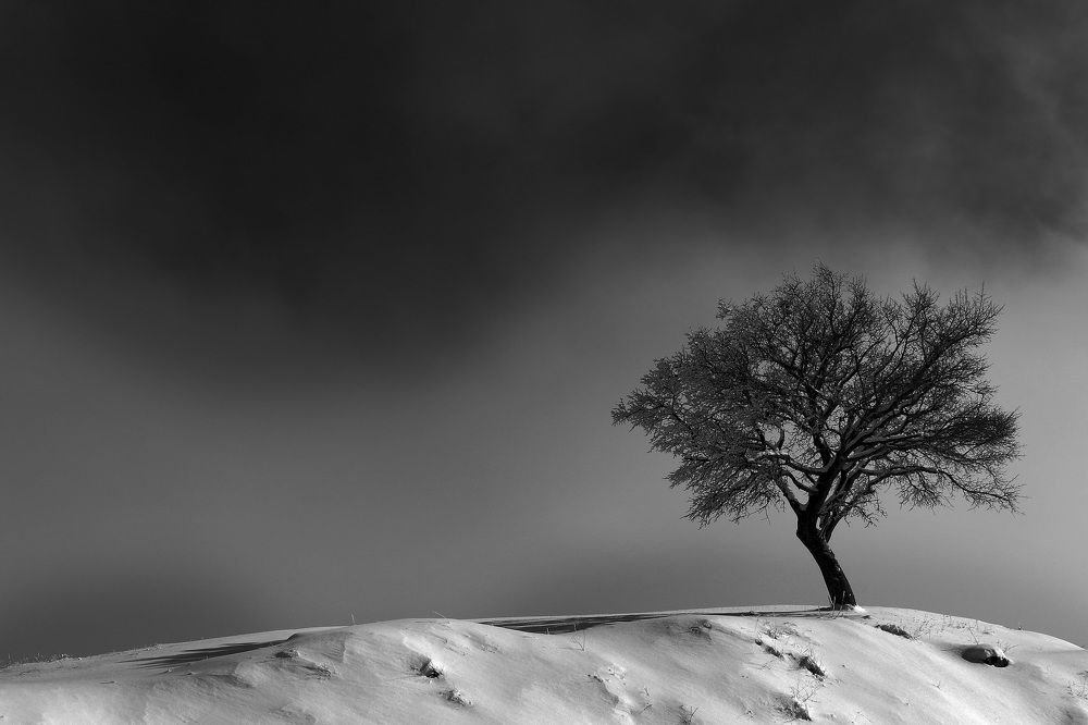 Photograph by samaneh jamali