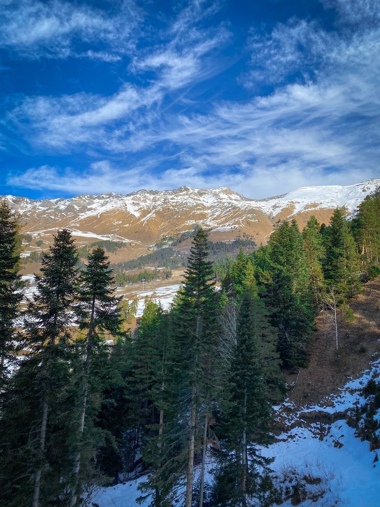 Photograph by Инна Попова