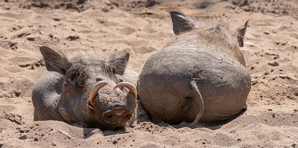 Photograph by yuri kutukov