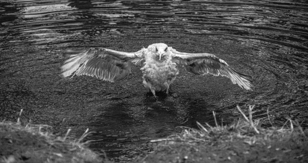 Photograph by Vitalii Kaznin