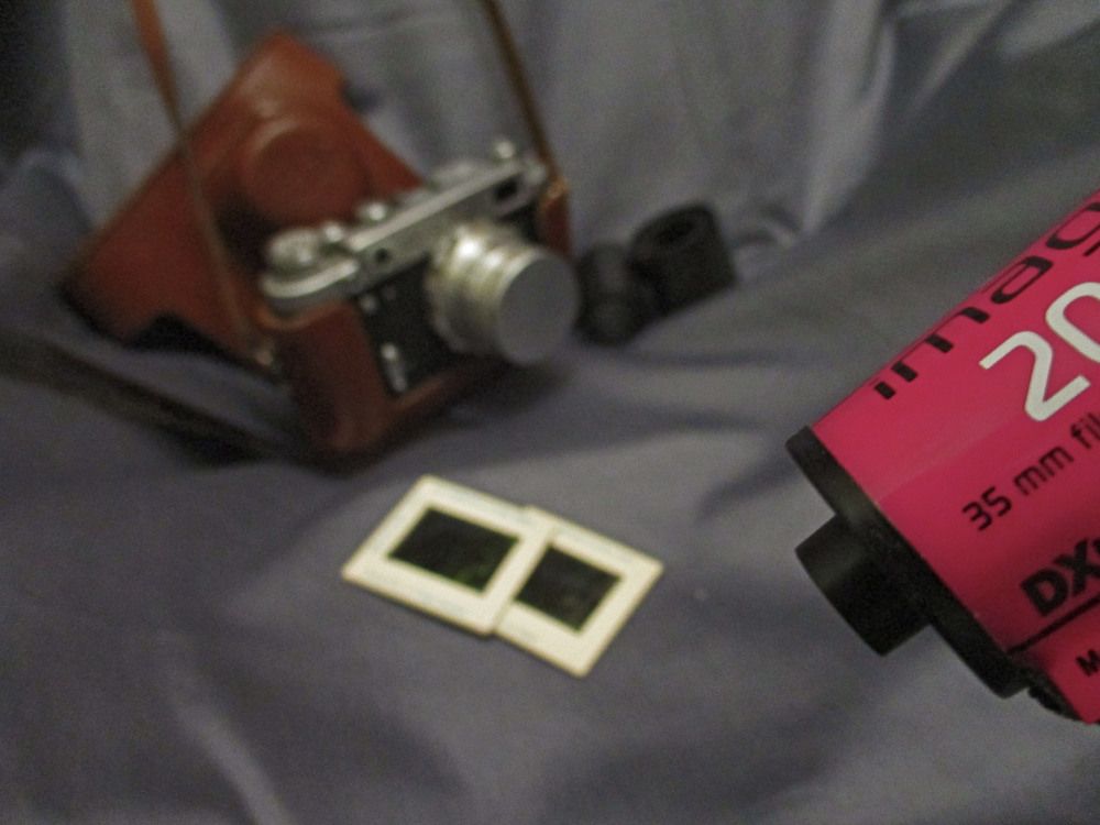 Фотография автора  Lizuza